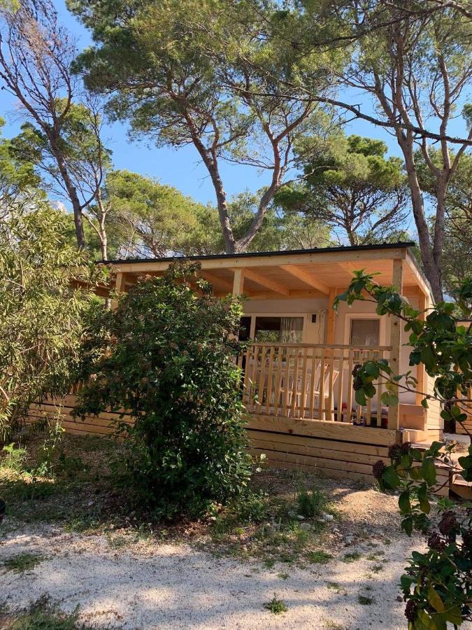 Oaza Mira Mobile Houses - Camp Basko Polje #Bestoffer 바스카보다 외부 사진